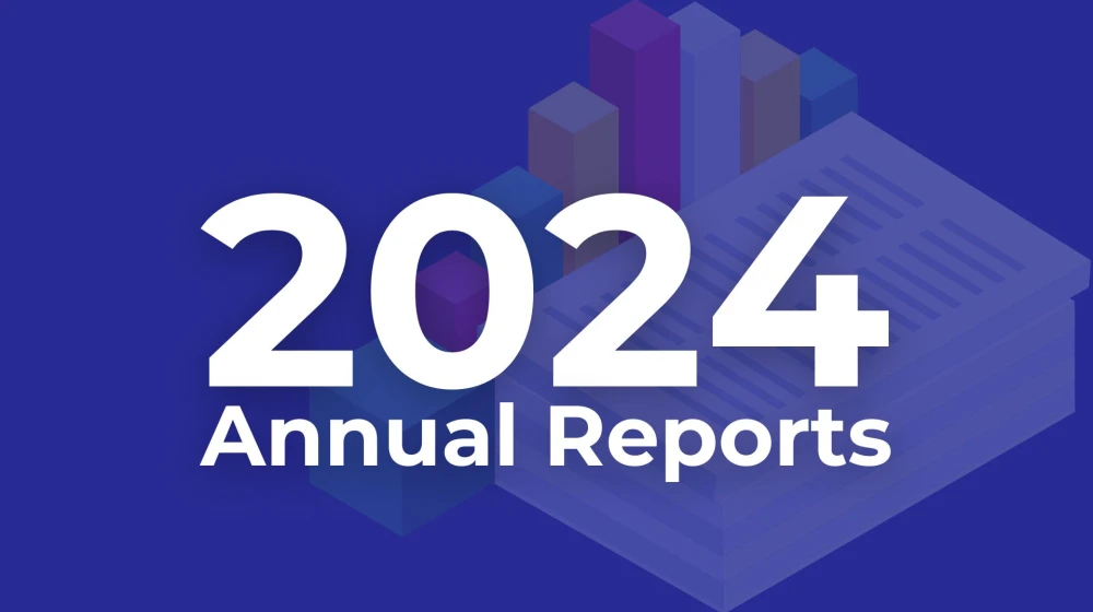 2024 Annual Reports - Fintown & Vihorev Group - Image