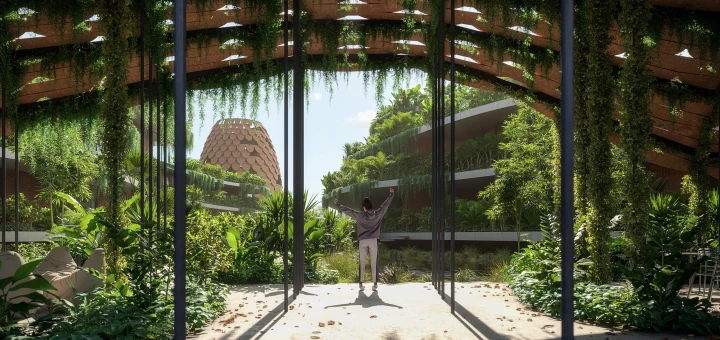 Development - The Seed - LOT 2